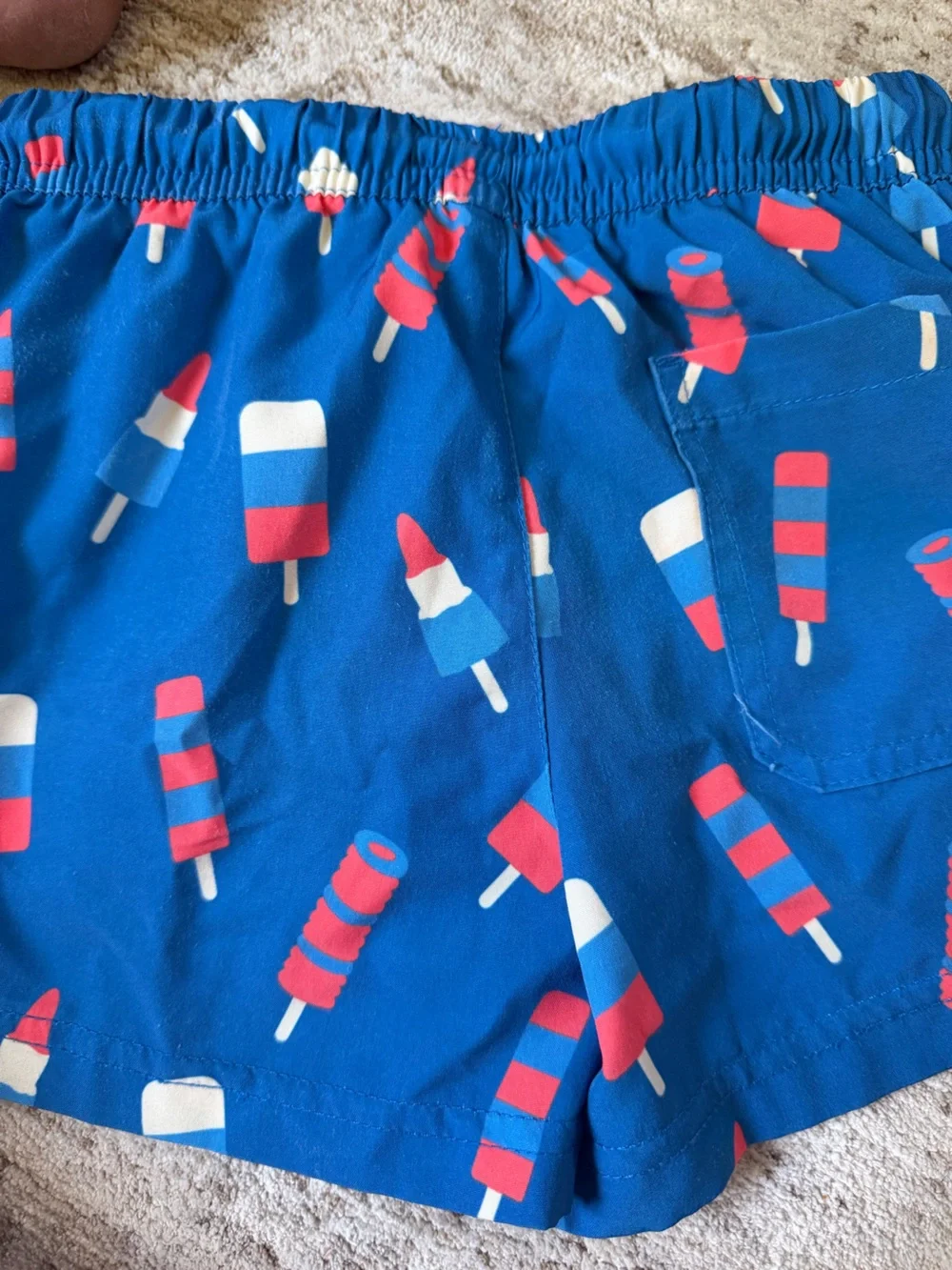 3T - Boys Blue Popsicle Print Swim Trunks with Drawstring